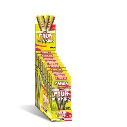 MAMBA 2G PREROL RUNTZ 10PK