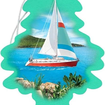 LITTLE TREES BAYSIDE BR- 24 CT