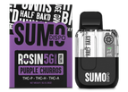 PURPLE CHURROS(S)