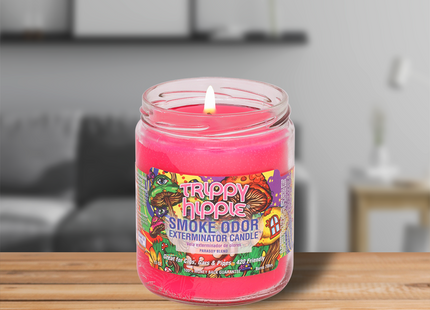 SMOKE ODOR CANDLE   13OZ 1 COUNT