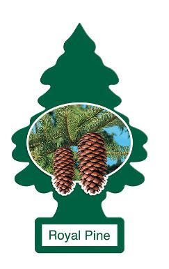 LITTLE TREES ROYAL PINE - 24 CT