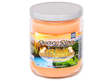 SMOKE ODOR CANDLE 13OZ 1 COUNT