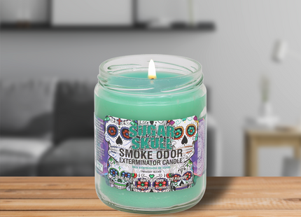 SMOKE ODOR CANDLE   13OZ 1 COUNT