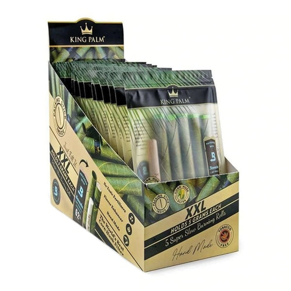 KING PALM CONES XXL - 15CT