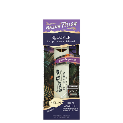 MF TERP 2ML DISP PURPLE PUNCH