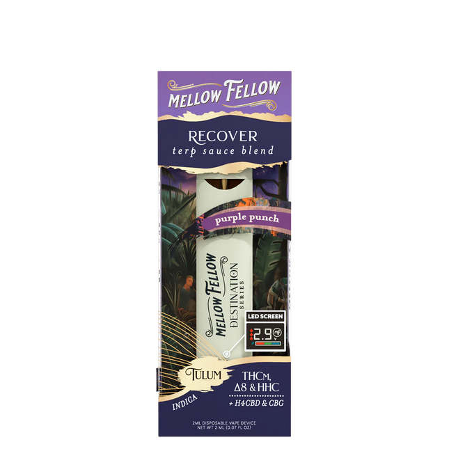 MF TERP 2ML DISP PURPLE PUNCH