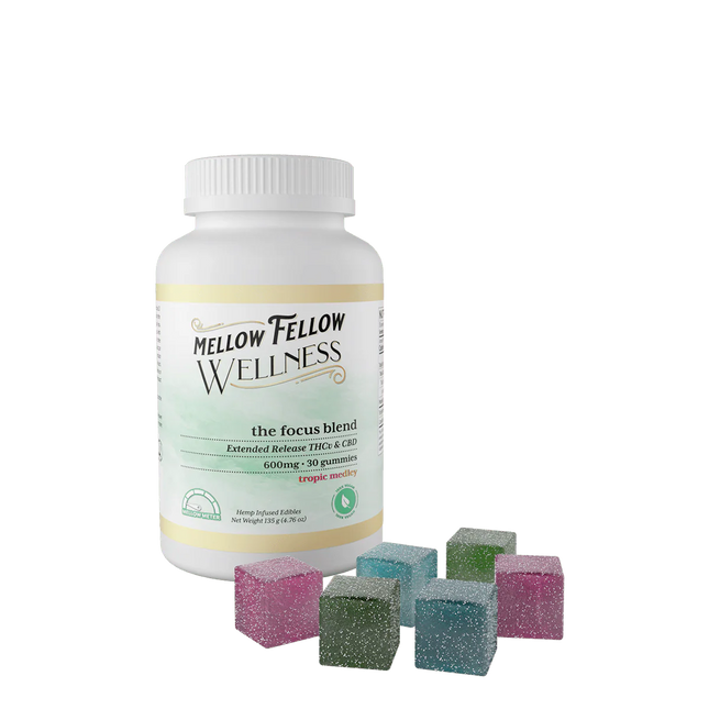 MF 600MG FOCUS BLEND GUMMY 30PC