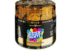 GUSH MINTZ(I)