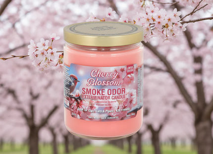 SMOKE ODOR CANDLE   13OZ 1 COUNT