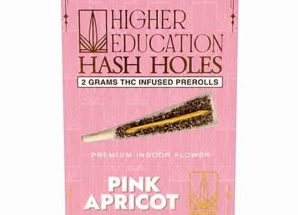 HIGHER EDUCATION 2G HASH HOLES 10COUNT