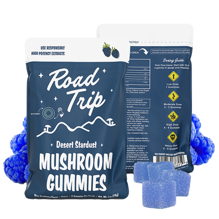 ROADTRIP GUMMIES BLUEBERRY 10PK