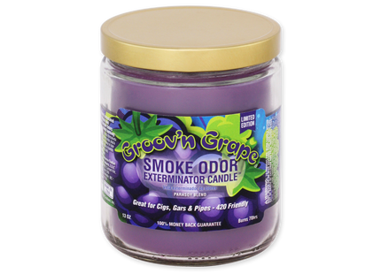 SMOKE ODOR CANDLE   13OZ 1 COUNT