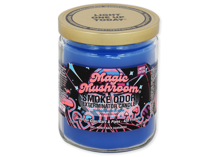 SMOKE ODOR CANDLE   13OZ 1 COUNT