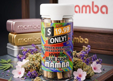 MAMBA 2G(10 COUNT)PRE-ROLL PRE-PRICED $19.99