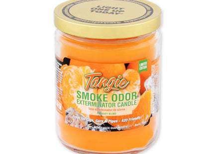 SMOKE ODOR CANDLE   13OZ 1 COUNT
