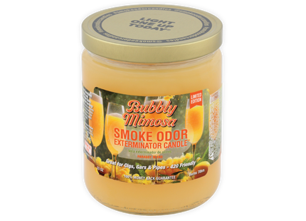 SMOKE ODOR CANDLE   13OZ 1 COUNT