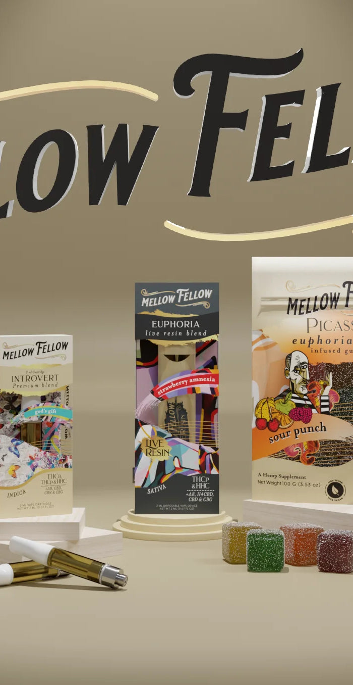 <h2>MELLOW FELLOW</h2>