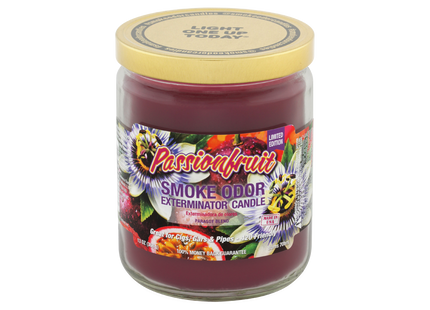 SMOKE ODOR CANDLE   13OZ 1 COUNT