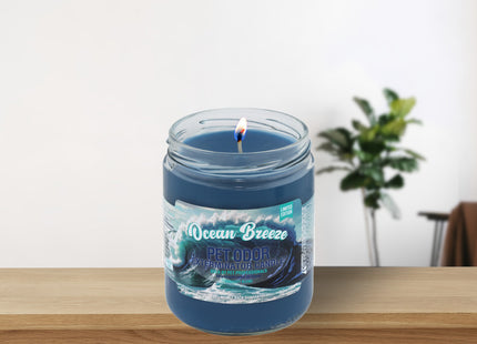 SMOKE ODOR CANDLE 13OZ 1 COUNT