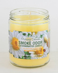 SMOKE ODOR CANDLE   13OZ 1 COUNT
