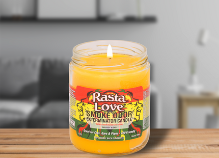 SMOKE ODOR CANDLE   13OZ 1 COUNT