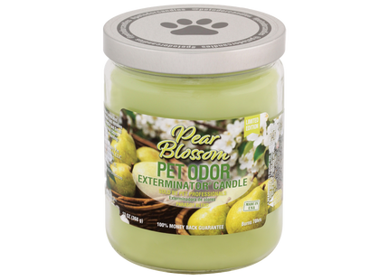 SMOKE ODOR CANDLE 13OZ 1 COUNT