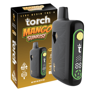 TORCH PULSE 6G DSP MANGO SUNRIS