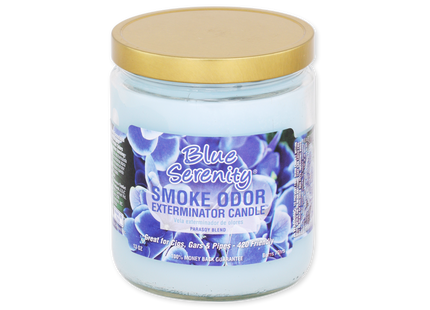 SMOKE ODOR CANDLE   13OZ 1 COUNT
