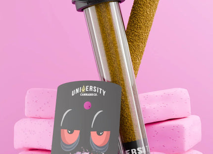 UNIVERSITY 2G PRE-ROLL PINK ZAB