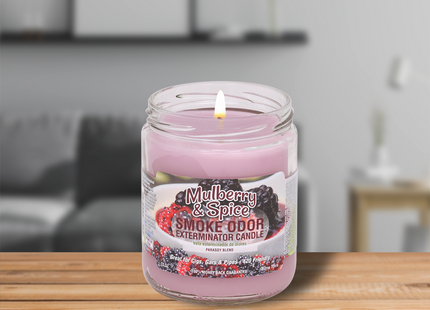 SMOKE ODOR CANDLE   13OZ 1 COUNT