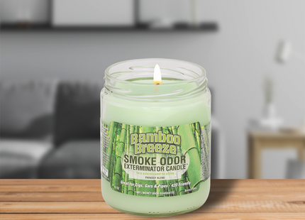 SMOKE ODOR CANDLE   13OZ 1 COUNT