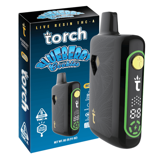 TORCH PULSE 6G DSP BLUEBRY COOK