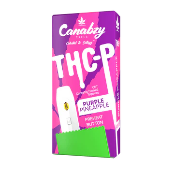 CANABZY 3.5G DISP PURPLE PINEAP