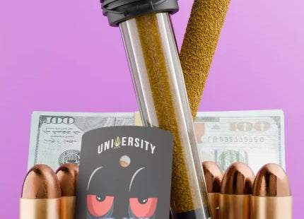 UNIVERSITY 2G PRE-ROLL PABLOTTO