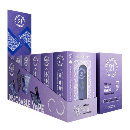 21 2ML DISP GRAPE NERDZ 6PK
